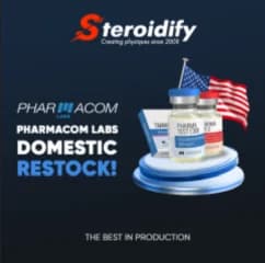 steroidify.ltd